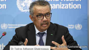 WHO's Tedros looks like shoo-in for second term despite handling of COVID-19, closeness to China