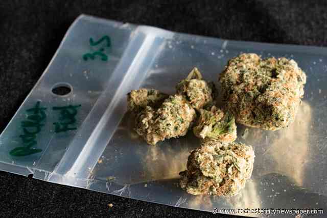 New York cannabis board says businesses giving away marijuana are breaking the law