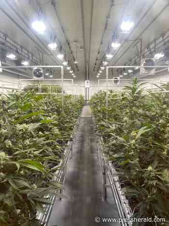 Rhode Island schedules medical marijuana dispensary lottery - Portland Press Herald - Press Herald