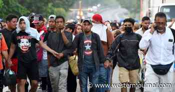 Texas Senators Blast Biden Admin Over Denial of Border Crisis: 'It Is a Federal Responsibility'