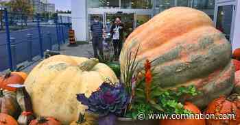 Scott Frost Day News: 600 Touchdowns, Cool Toys and the Republic of Nirivia - Corn Nation