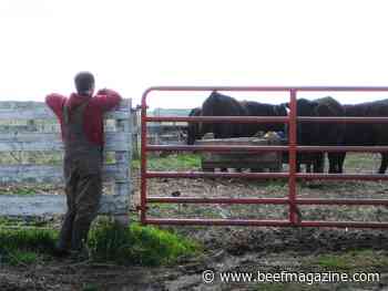 It’s time for a risk analysis of the ranch