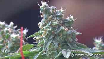 Williamsville holding public forum on whether village should opt out of commercial marijuana sales