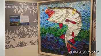 New Buffalo Zoo mural made of trash highlights dangers of pollution in local waterways
