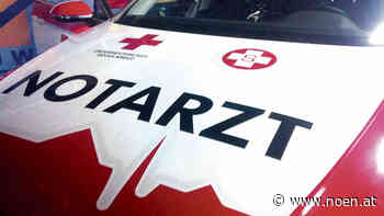 44-Jähriger starb bei Forstunfall im Bezirk Neunkirchen - NÖN.at