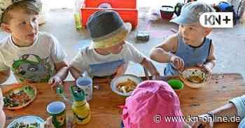 Warum Eltern in der DRK-Kita Altenholz beim Essen oft doppelt zahlen - Kieler Nachrichten