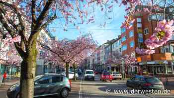 Essen: „Lifestyle-Image“ – 2.685 Euro Miete für DIESE Wohnung - Der Westen