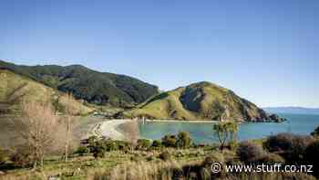 Three kayakers rescued off Pepin Island near Nelson - Stuff.co.nz