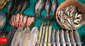 Chennai: Swanky fish market off Marina could be answer to traffic woes - Times of India
