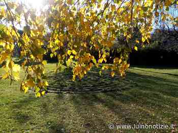 I colori dell'autunno tra Germignaga e Luino, la foto è di Marzia Malesani - Luino Notizie