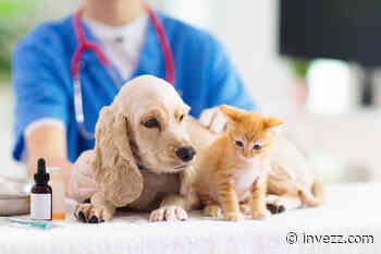 Meinung der Analysten: Heska Corp. ist ein ’starker Verkauf‘ - Invezz