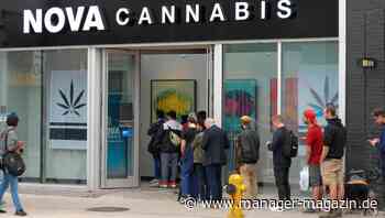 Cannabis Legalisierung: Diese Firmen stehen bereit für den deutschen Markt