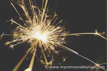 BC SPCA supports nationwide fireworks ban - My Comox Valley Now