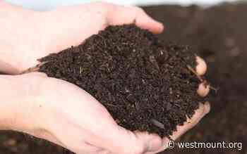 Free compost: supply depleted, new load scheduled for Thursday, October 28 | City of Westmount - Ville de Westmount