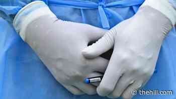 Millions of used, substandard medical gloves imported into US: report | TheHill - The Hill
