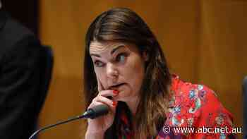 Greens fire up over rocket-launch complex 'bang in the middle' of sensitive site