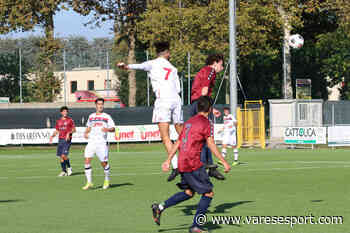 Chieri e Derthona non sbagliano. Crisi Varese, solo un pari per la Caronnese. Tutto sull'ottava. - VareseSport