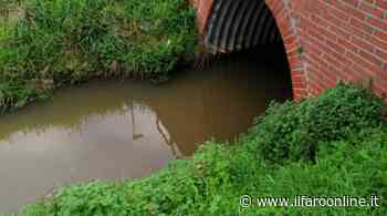Ardea, gasolio nel canale di bonifica: allarme inquinamento a via della Cinciarella - Il Faro online