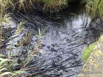 Ardea, sversamento di rifiuti pericolosi nel canale: è caccia ai responsabili (FOTO) - Il Corriere della Città