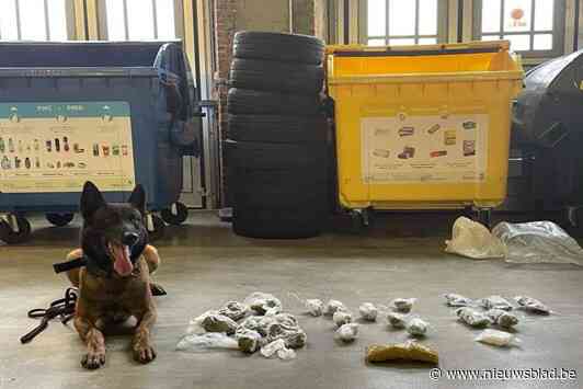 Nieuwe vangst voor drugshond Nixon: cocaïne en marihuana verstopt onder hoop afval