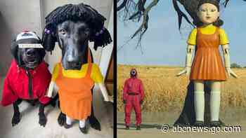 WATCH:  Happy Howl-oween!