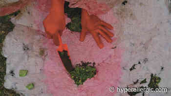 Tyler School of Art and Architecture Opens Fall 2021 MFA Thesis Exhibitions - Hyperallergic