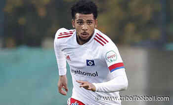 Hamburg chief Boldt invites Bolton talks about Amaechi - Tribal Football