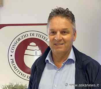 Primitivo Manduria, Francesco Delle Grottaglie nuovo presidente - Agenzia askanews