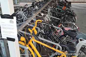 Politie haalt weesfietsen bij station weg