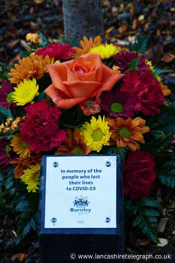 Briercliffe: cherry tree to remember coronavirus victims planted