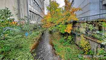 Siegen: Stadt will Bürger auf Hochwassergefahr vorbereiten - Westfalenpost