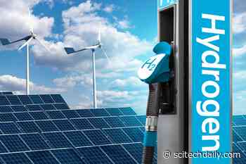 Holistic Optimization: Coupling Power and Hydrogen Sector Pathways To Benefit Decarbonization