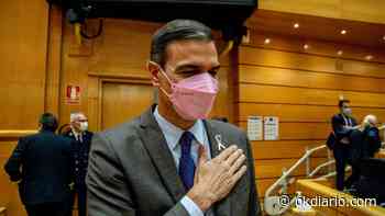 Siete organismos confirman ya que las cuentas de Sánchez son ‘fake’ - Okdiario