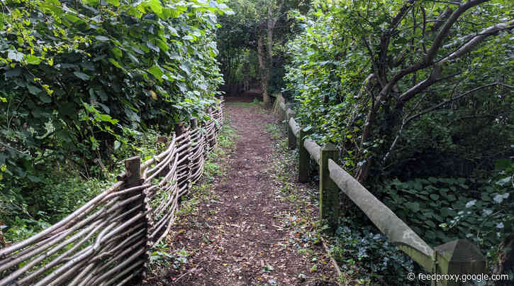 Camley Street’s natural park has reopened to the public