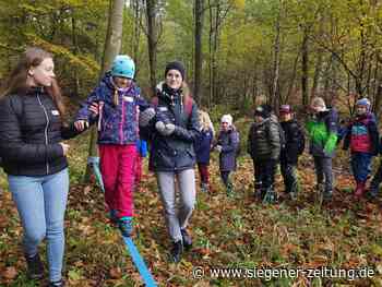 Bibeltag im Wald: Kinder wandeln auf Spuren von Petrus - Siegener Zeitung