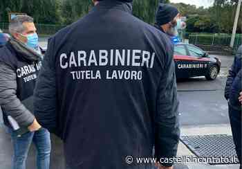 Truffe all'Inps, nel Nisseno gestione dei terreni sotto l'ala della Stidda - castelloincantato.it