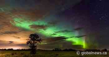 Meet the aurora borealis chasers in Alberta: ‘It’s like nothing else in the world’