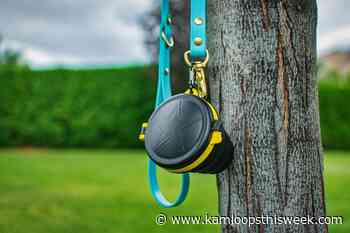 Kamloops-created caddy carries your canine's, er, crap - Kamloops This Week