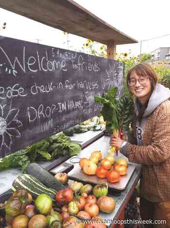 Butler Urban Farm: End of season reflections - Kamloops This Week