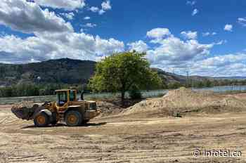 Are we losing beneficial urban tree canopies in Kamloops, Okanagan? | iNFOnews | Thompson-Okanagan's News Source - iNFOnews
