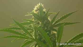 South Buffalo 'cannabis campus' gets greenlight from planning board