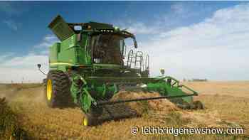 Final Alberta crop report of 2021 yields good and bad news - Lethbridge News Now