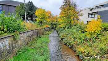 Siegen: Hochwasser und Starkregen als reale Risiken erkannt - Westfalenpost