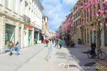 Celstraf met uitstel voor inbrekers die in Bruul toeslaan