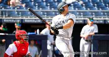 Austin Wells’ big week highlights the Yankees prospects in the Arizona Fall League - Pinstripe Alley