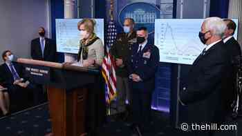 Birx tells Congress Trump White House prioritized election over pandemic response