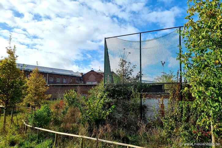 Omwonenden van gevangenis zijn overlast beu: “We kijken er al niet meer van op als we een tennisbal met drugs vinden”
