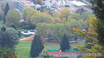 Nach Bürgerversammlung: Gibt’s denn neue Erkentnisse zur Schweizer Wiese in Bad Herrenalb?