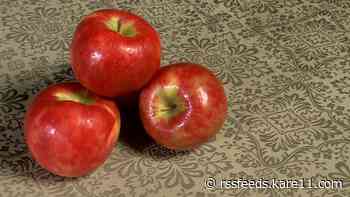 The untold story of decades-long search to find the 'parents' of the famed Honeycrisp apple