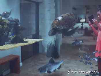 Adobe announces partnership with Smithsonian for AR ocean exhibit